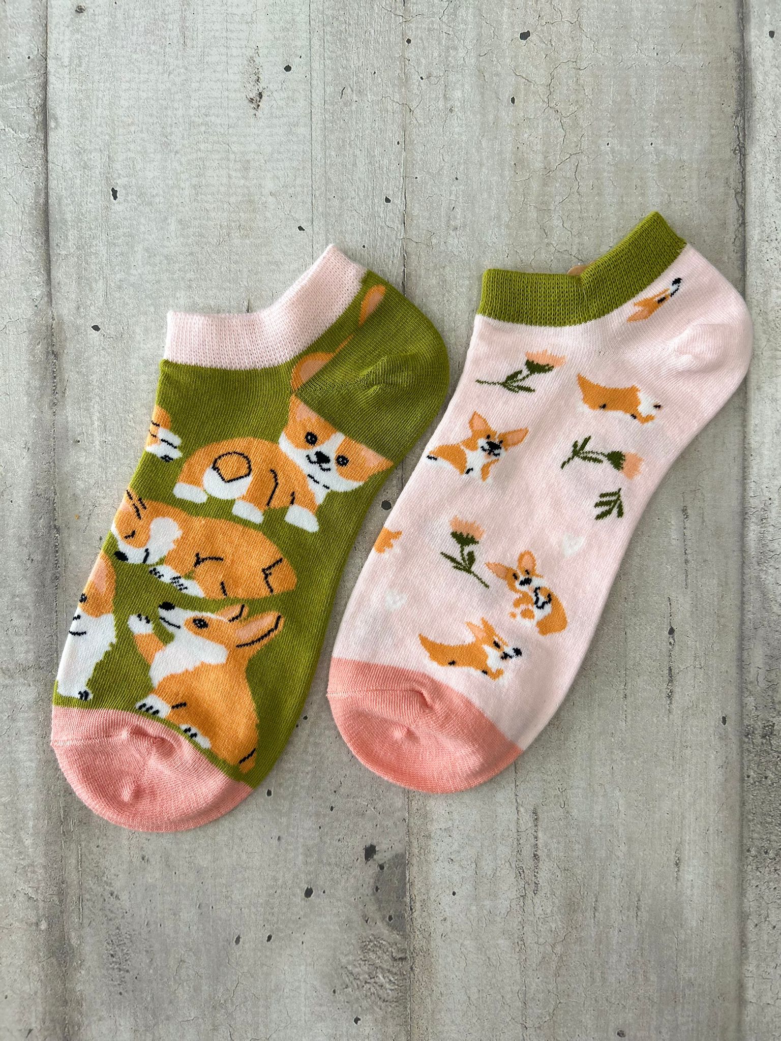 Calzini spaiati con cani Corgi