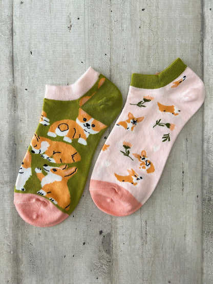 Calzini spaiati con cani Corgi