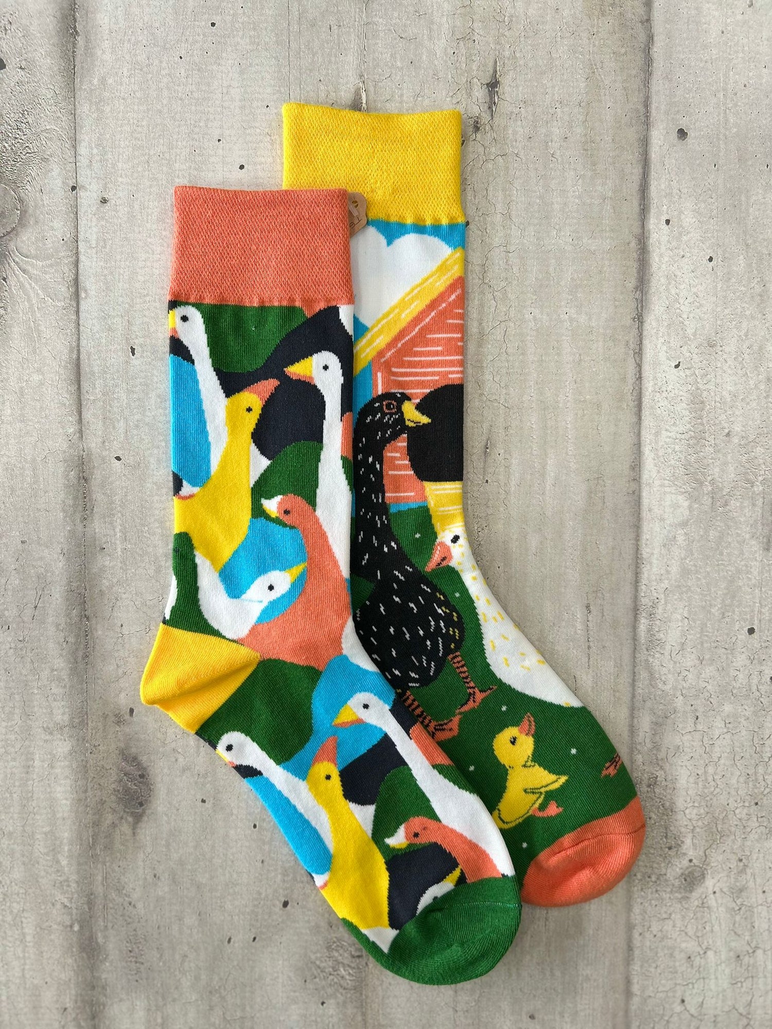 Calzini spaiati anatre e paperelle