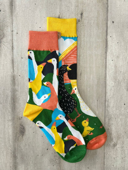 Calzini spaiati anatre e paperelle