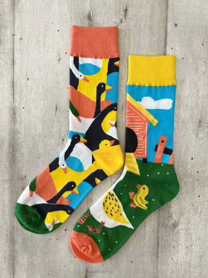 Calzini spaiati anatre e paperelle