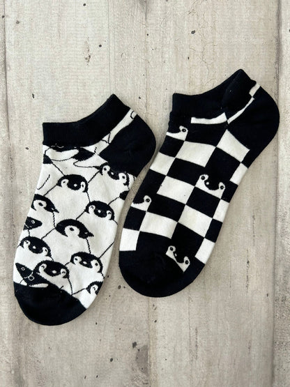 Calzini spaiati con pinguini