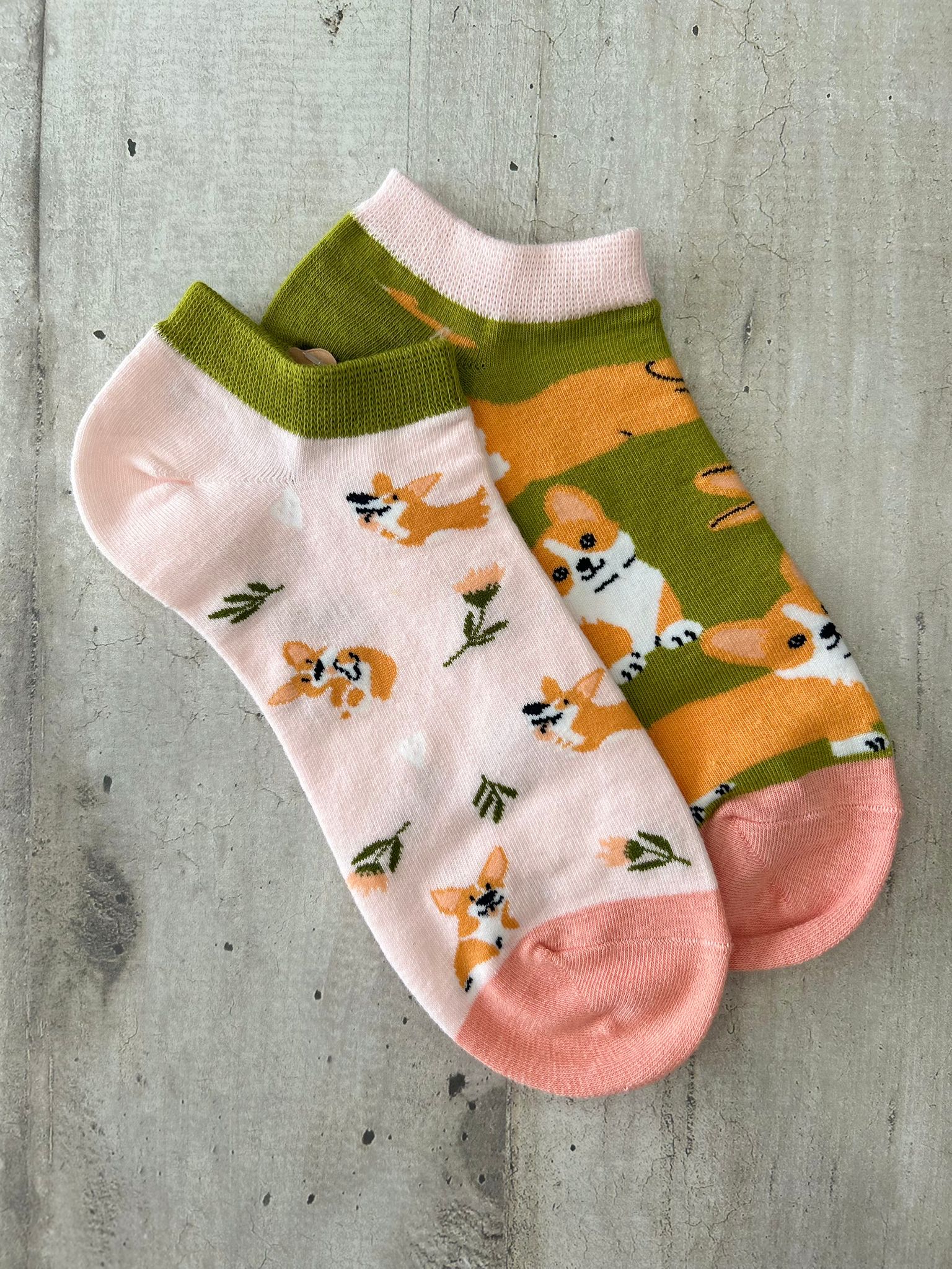 Calzini spaiati con cani Corgi